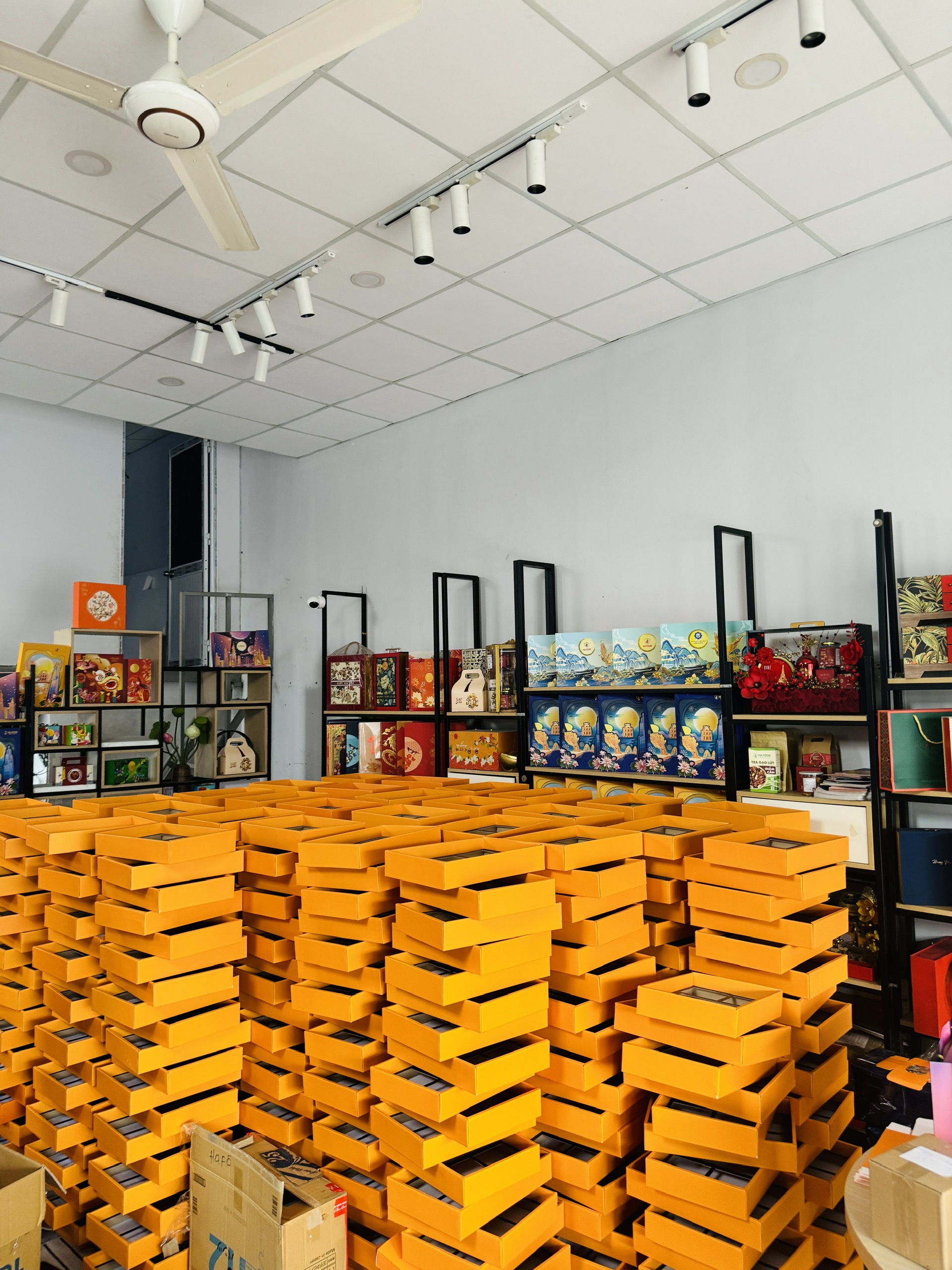 Gallery 5