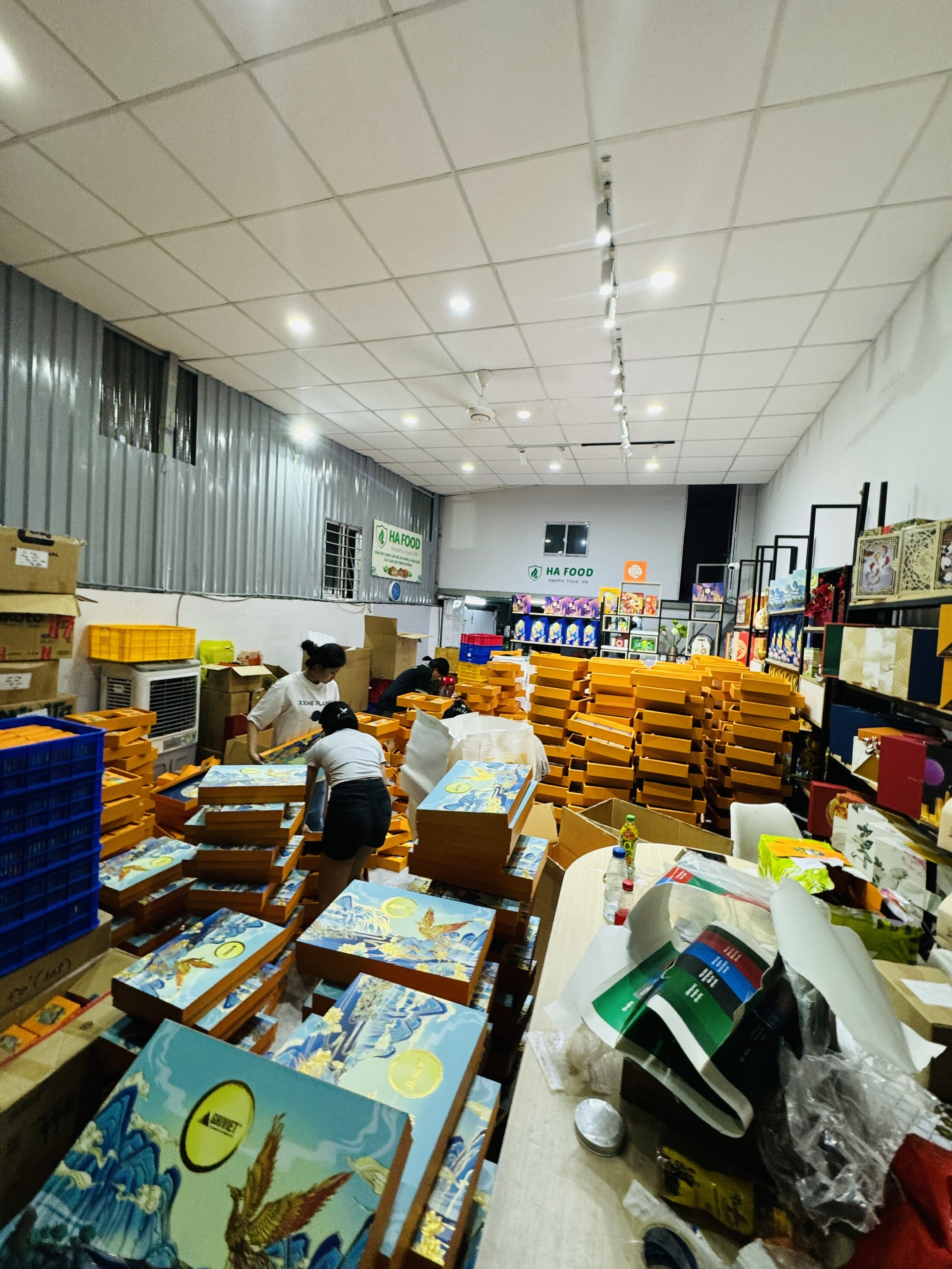 Gallery 7